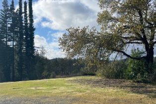 Residential Acreage,  Diamond Mountain road, Calistoga, CA 94515 - 7