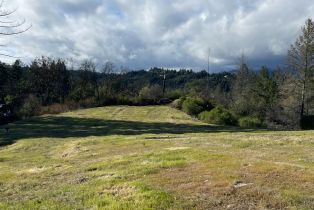 Residential Acreage,  Diamond Mountain road, Calistoga, CA 94515 - 5