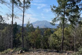 Residential Acreage,  Diamond Mountain road, Calistoga, CA 94515 - 9