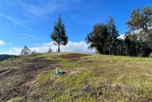 Residential Acreage,  Diamond Mountain road, Calistoga, CA 94515 - 2