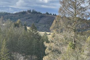 Residential Acreage,  Diamond Mountain road, Calistoga, CA 94515 - 12