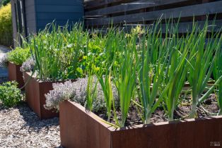 Single Family Residence,  Grove street, Healdsburg, CA 95448 - 31