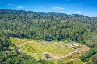 Single Family Residence,  St. Helena highway, Calistoga, CA 94515 - 49