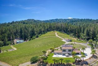Single Family Residence,  St. Helena highway, Calistoga, CA 94515 - 46