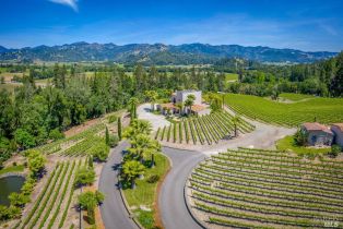 Single Family Residence,  St. Helena highway, Calistoga, CA 94515 - 8