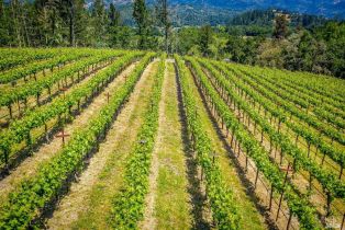 Single Family Residence,  St. Helena highway, Calistoga, CA 94515 - 48