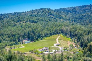 Single Family Residence,  St. Helena highway, Calistoga, CA 94515 - 40
