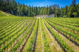 Single Family Residence,  St. Helena highway, Calistoga, CA 94515 - 42