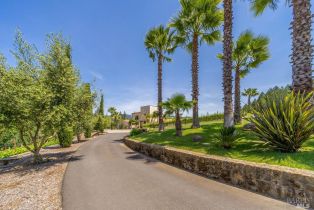 Single Family Residence,  St. Helena highway, Calistoga, CA 94515 - 43