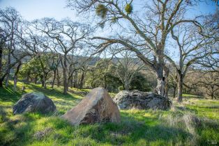 Single Family Residence, Monticello road, Napa, CA 94558 - 21