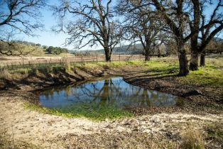 Single Family Residence, Monticello road, Napa, CA 94558 - 22
