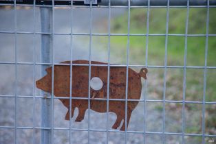 Single Family Residence, Monticello road, Napa, CA 94558 - 33