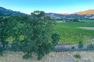 Single Family Residence, Monticello road, Napa, CA 94558 - 17