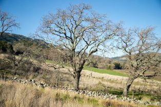 Single Family Residence, Monticello road, Napa, CA 94558 - 19