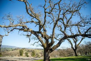 Single Family Residence, Monticello road, Napa, CA 94558 - 18