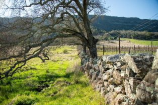 Single Family Residence, Monticello road, Napa, CA 94558 - 23