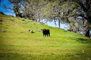Single Family Residence,  Longhorn Ridge road, Napa, CA 94558 - 55
