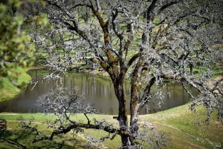 Single Family Residence,  Longhorn Ridge road, Napa, CA 94558 - 59