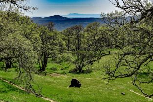 Single Family Residence,  Longhorn Ridge road, Napa, CA 94558 - 58