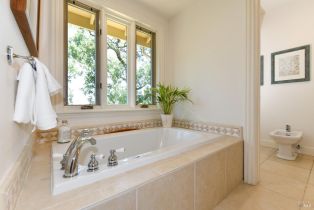 Single Family Residence,  Longhorn Ridge road, Napa, CA 94558 - 32