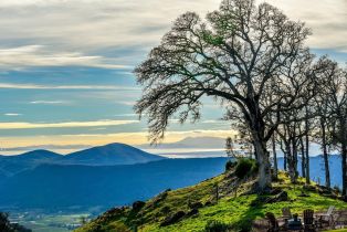 Single Family Residence, 100 Longhorn Ridge Rd, Napa, CA  Napa, CA 94558