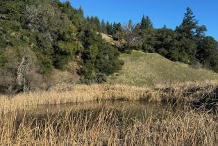 Residential Acreage,  Highway 128 highway, Cloverdale, CA 95425 - 3