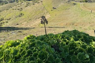 Residential Acreage,  Highway 128 highway, Cloverdale, CA 95425 - 5