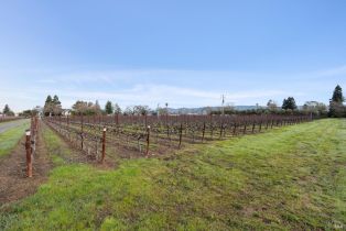 Agriculture,  Orchard avenue, Napa, CA 94558 - 2