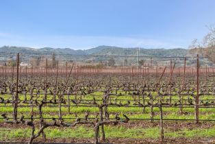 Agriculture,  Orchard avenue, Napa, CA 94558 - 7