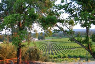 Single Family Residence,  Estee avenue, Napa, CA 94558 - 27