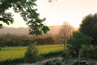 Single Family Residence,  Estee avenue, Napa, CA 94558 - 46