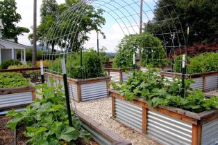 Single Family Residence,  Estee avenue, Napa, CA 94558 - 42