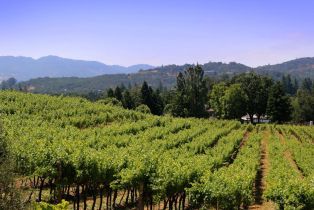 Single Family Residence,  Estee avenue, Napa, CA 94558 - 47