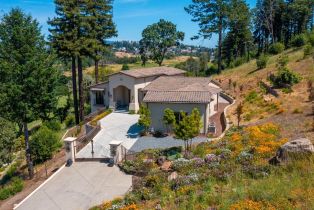 Single Family Residence, Skyfarm drive, Santa Rosa, CA 95403 - 2