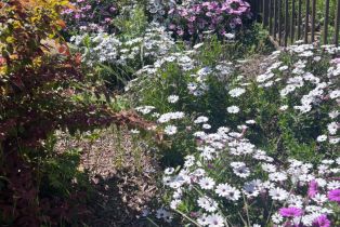 Single Family Residence, Skyfarm drive, Santa Rosa, CA 95403 - 38