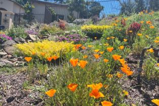 Single Family Residence, Skyfarm drive, Santa Rosa, CA 95403 - 45