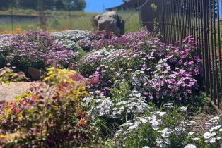 Single Family Residence, Skyfarm drive, Santa Rosa, CA 95403 - 39