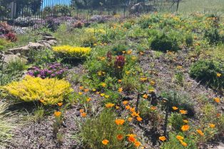 Single Family Residence, Skyfarm drive, Santa Rosa, CA 95403 - 46