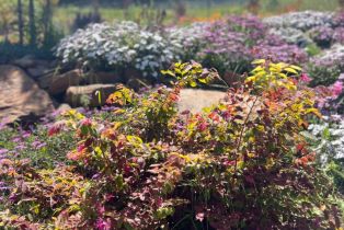 Single Family Residence, Skyfarm drive, Santa Rosa, CA 95403 - 44