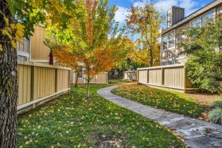 Condominium, Cherry avenue, Sonoma, CA 95476 - 19