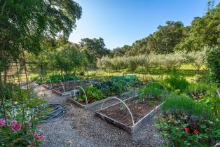 Single Family Residence, Monticello road, Napa, CA 94558 - 30