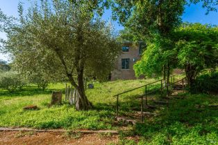 Single Family Residence, Monticello road, Napa, CA 94558 - 33