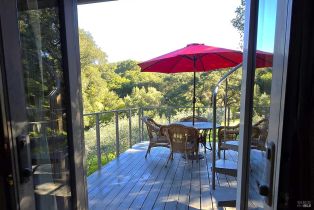 Single Family Residence, Monticello road, Napa, CA 94558 - 25