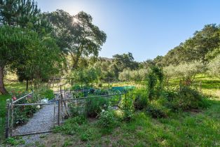 Single Family Residence, Monticello road, Napa, CA 94558 - 29