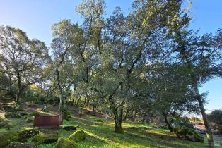 Single Family Residence, Monticello road, Napa, CA 94558 - 34