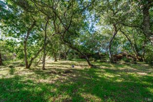 Single Family Residence, Monticello road, Napa, CA 94558 - 36