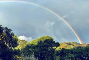 Single Family Residence, Monticello road, Napa, CA 94558 - 37