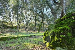 Single Family Residence, Monticello road, Napa, CA 94558 - 31