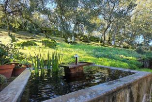 Single Family Residence, Monticello road, Napa, CA 94558 - 6