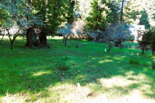 Residential Lot,  Drake road, Russian River, CA 95446 - 2